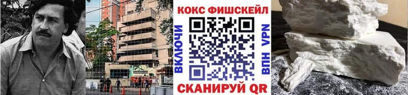 Cocaine Fish Scale  Купить закладки  Лысково 