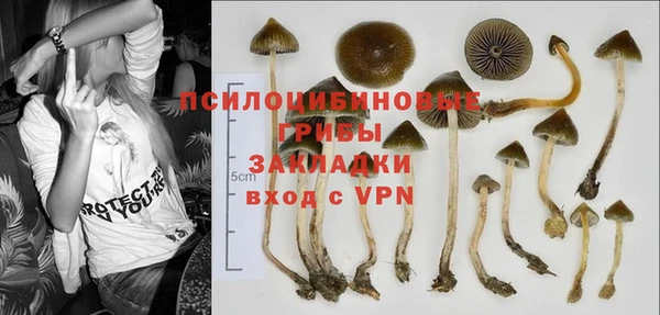дистиллят марихуана Каменногорск